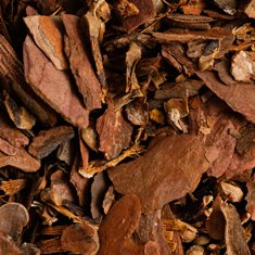 BellyFlush ingredient Cascara Sagrada Bark