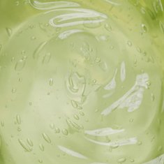 BellyFlush ingredient Cape Aloe Leaf