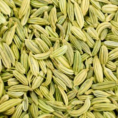 BellyFlush ingredient Fennel Seed